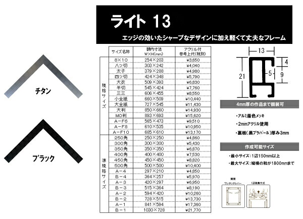 額縁 デッサン用額縁 ポスターフレーム アルミフレーム ライト13 サイズ インチ～ B3 A2 B2 A1 B1 チタン ブラック