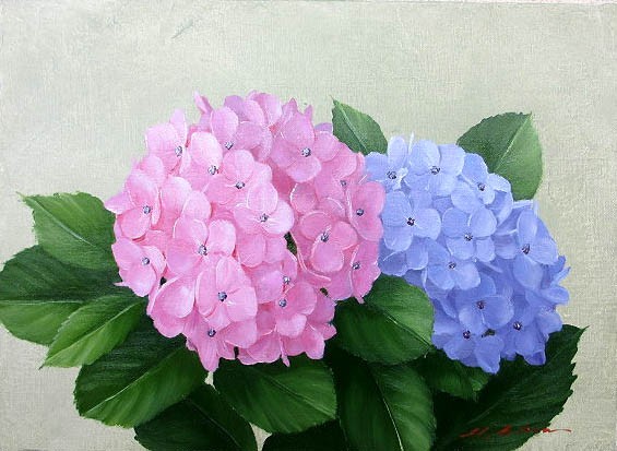 肉筆画【紫陽花 】油彩画 肉筆画【紫陽花 】油彩画