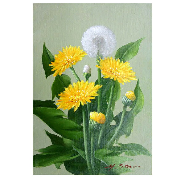 油彩　たんぽぽ 油彩 たんぽぽ 油彩たんぽぽ