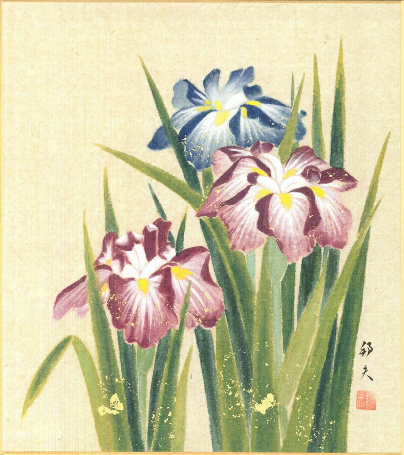 絵画 色紙(春)片山 邦夫作画「菖蒲」 色紙寸法24.2X27.2cm|絵画 掛軸 額縁屋 TOUO