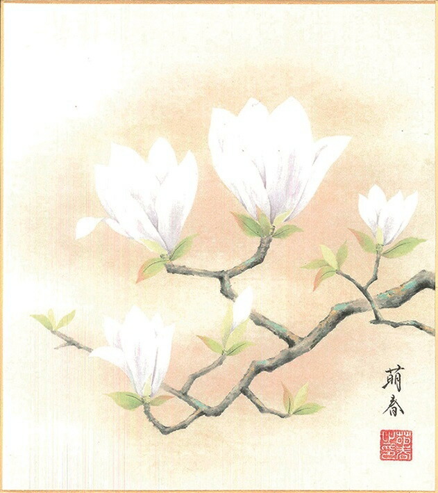 絵画 色紙（春）奥田 萌春作画「木蓮」 色紙寸法24.2X27.2cm