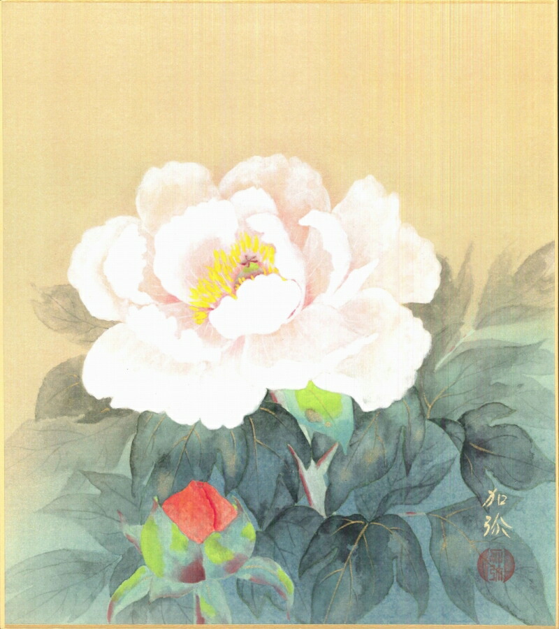 楽天市場】鈴木加弥『牡丹』色紙絵 : 内田画廊