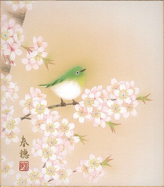 絵画 色紙(春)藤田 春穂作画「桜に小禽」 色紙寸法24.2X27.2cm
