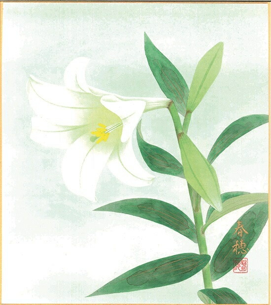 絵画 色紙（夏）藤田 春穂作画「百合」 色紙寸法24.2X27.2cm