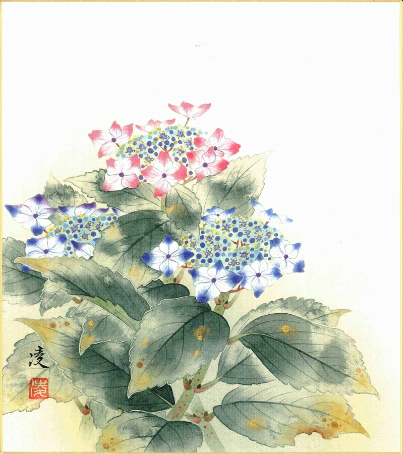 絵画 色紙(夏)中村 凌作画「紫陽花」 色紙寸法24.2X27.2cm
