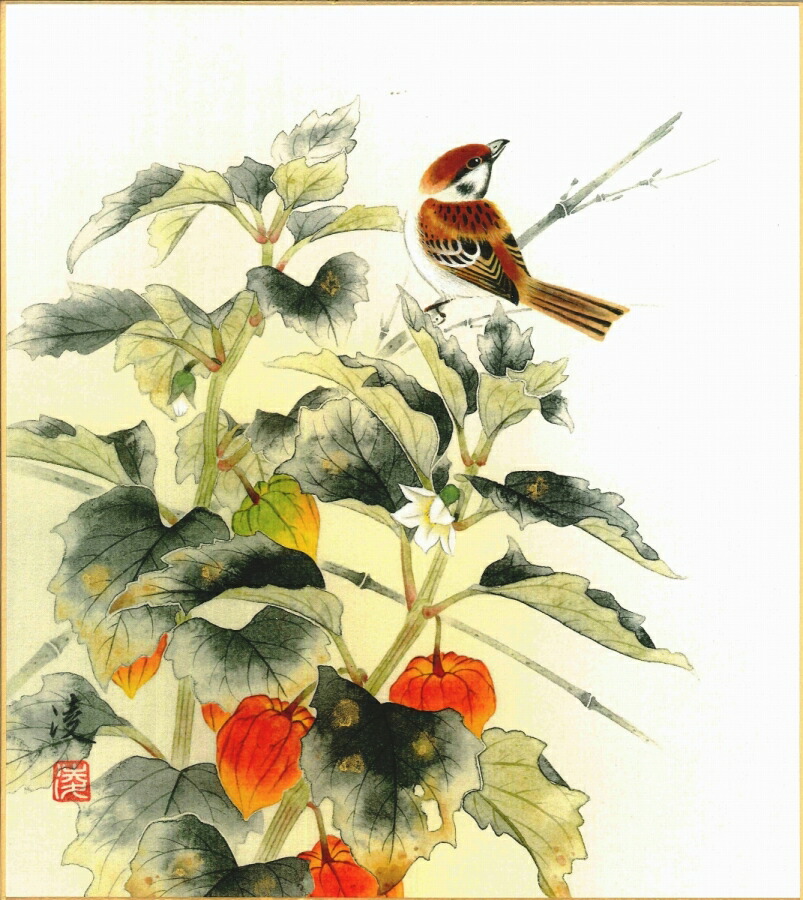 絵画 色紙（夏）中村 凌作画「ほおずき」 色紙寸法24.2X27.2cm