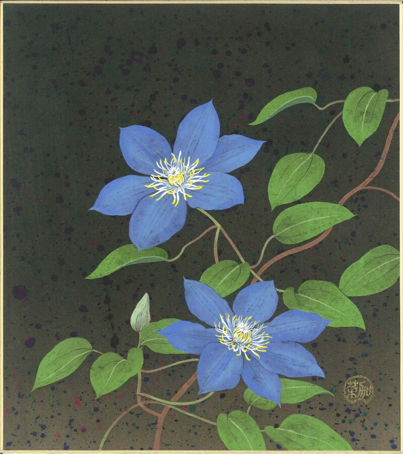 絵画 色紙(夏)白木 菜加作画「鉄線」 色紙寸法24.2X27.2cm|絵画 掛軸 額縁屋 TOUO