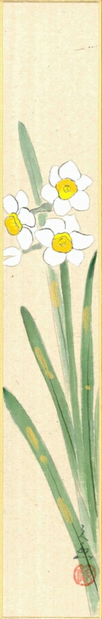 絵画 短冊（冬）中谷 文魚作画「水仙」 短冊寸法36.3X6cm