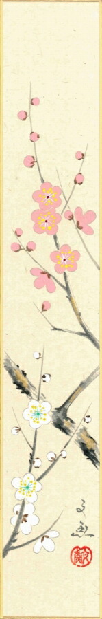 短冊（冬）中谷 文魚作画「紅白梅」 短冊寸法36.3X6cm