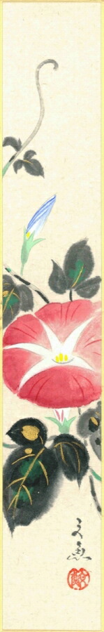 絵画 短冊（夏）中谷 文魚作画「朝顔」 短冊寸法36.3X6cm 4,769円