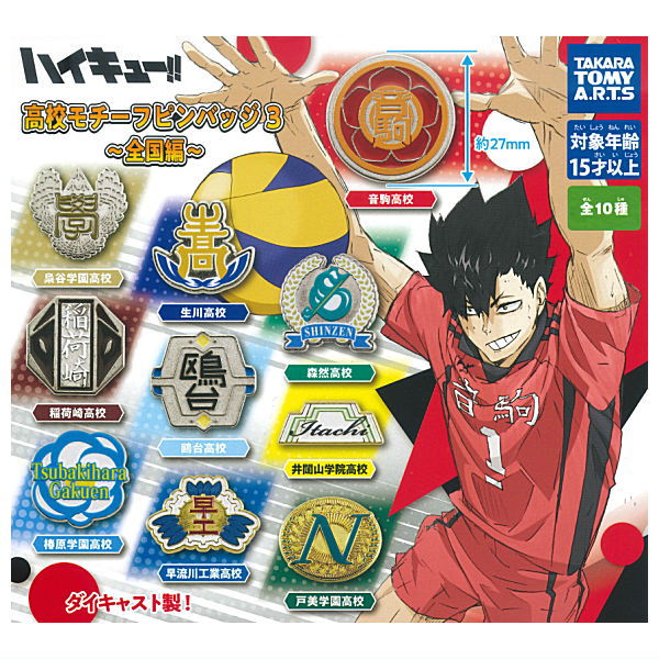 ハイキュー!! ピンバッジセット 16個 10個 ハイキュー!! スクエア缶バッジセット（制作現場風） 及川・岩泉