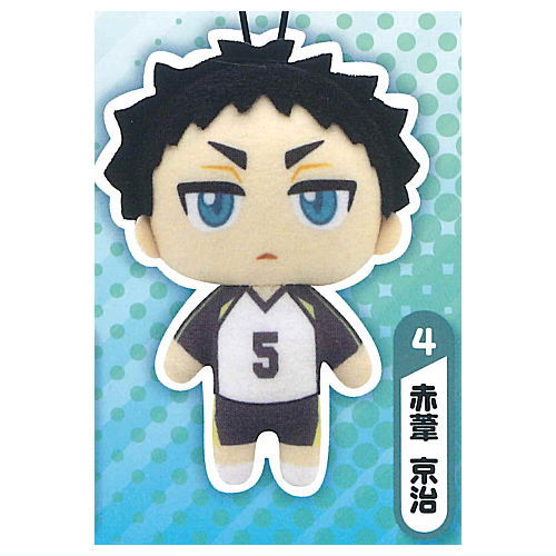 【及川徹】ハイキュー!! リバーシブルぬいぐるみ2 haikyu_reversible_nuigurumi2_n