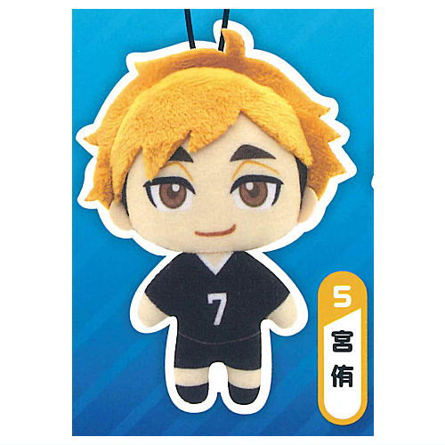 【及川徹】ハイキュー!! リバーシブルぬいぐるみ2 haikyu_reversible_nuigurumi2_n
