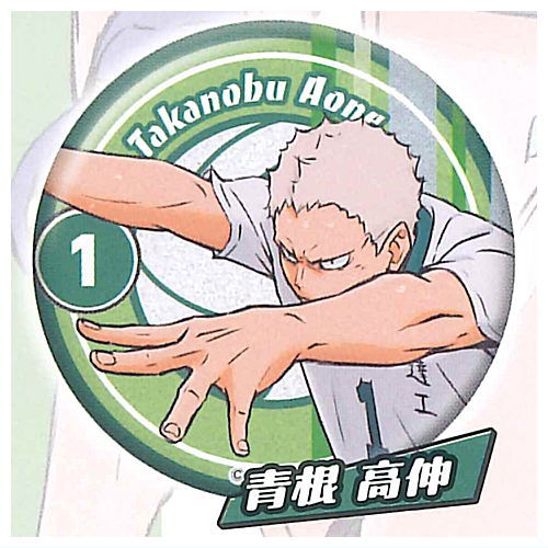 楽天市場】ハイキュー!! キャラばんちょうこうグリッター缶バッジ [3