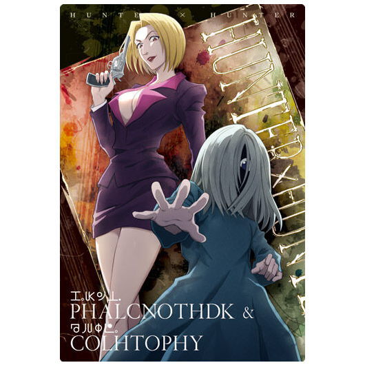 楽天市場】アニメヒーローズ HUNTER×HUNTER(ハンター×ハンター