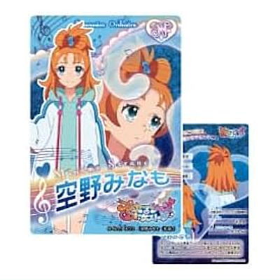 楽天市場】【[銀箔加工入り] SR-No.1 21/22 プリンセス