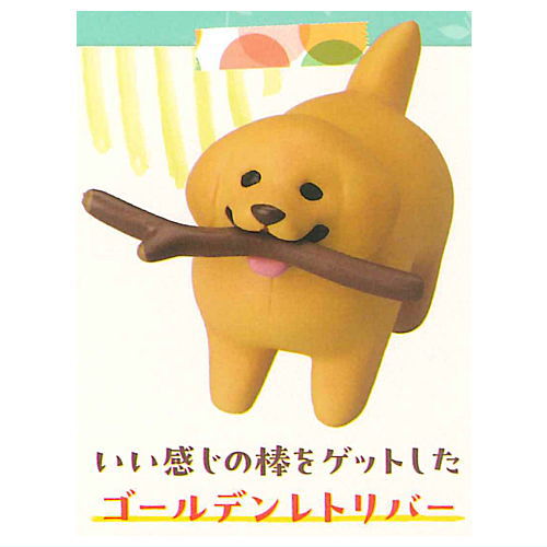 【抱っこアピールをするコーギー（フォーン）】アニマルアトラクション こぎさんぽ 抱っこアピールをするコーギー（フォーン）】アニマル