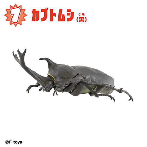 楽天市場】昆虫ハンター カブトムシ×クワガタ 2021 [1.カブトムシ(黒