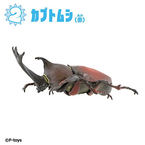 ★オーダー受付中★夏休みセット★カブトムシ★クワガタ★ダイカット★クラフトパンチ 楽天市場】昆虫ハンター カブトムシ×クワガタ 2021 [1.カブトムシ(黒