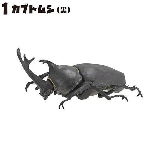 楽天市場】昆虫ハンター カブトムシ×クワガタ 2024 [1