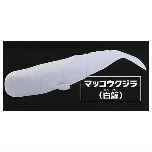 シュライヒ ワイルドライフ マッコウクジラ フィギュア 14764 w17b8b5 Amazon.co.jp: シュライヒ ワイルドライフ マッコウクジラ