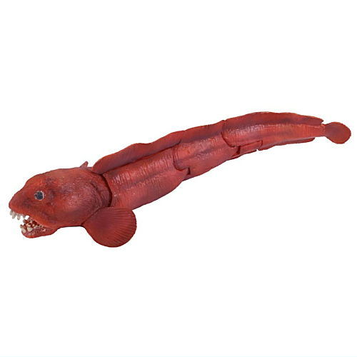 オオモンハタ　フィギュア　魚寸27cm 【第10回日本彫刻コンクール入選作品】 空想生物図鑑Ⅰ 古代甲冑魚 - スタジオソータ公式 | アート