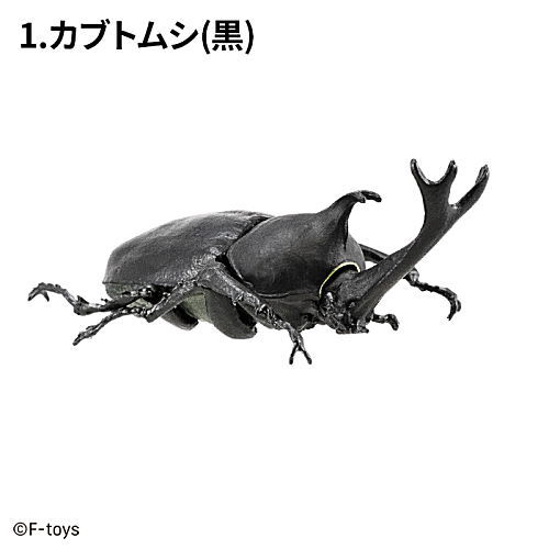 楽天市場】昆虫ハンター カブトムシ×クワガタ 2021 [1.カブトムシ(黒