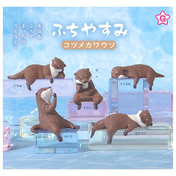 かわうそさん 楽天市場】かぷふれ！ すくっとたっちさん かわうそさん？たっち