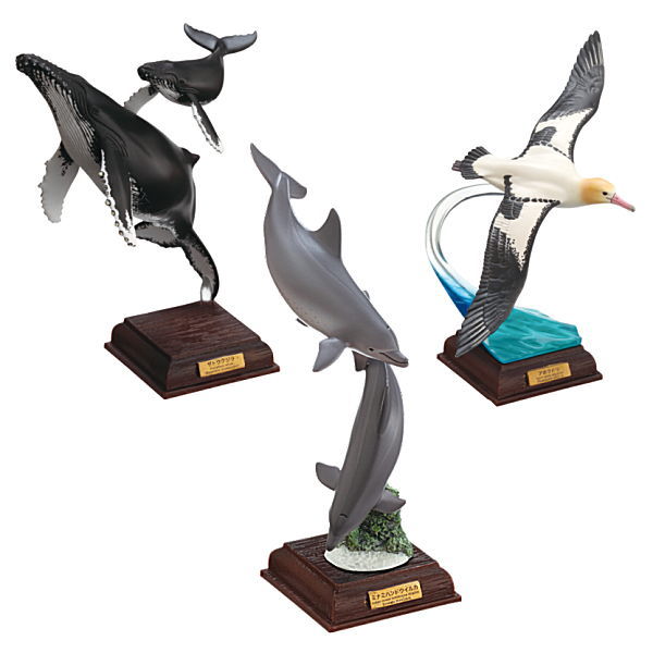 楽天市場】ネイチャーテクニカラー 小笠原 特装版 [1.ザトウクジラ