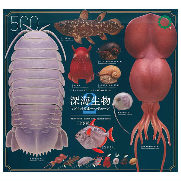 楽天市場】【送料無料】ネイチャーテクニカラーMONO ミドリガメ