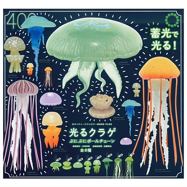 楽天市場】ミズクラゲ 【ネイチャーテクニカラーMONO PLUS クラゲ