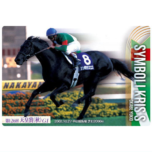 楽天市場】【送料無料】サラブレッドホースコレクション ツイン