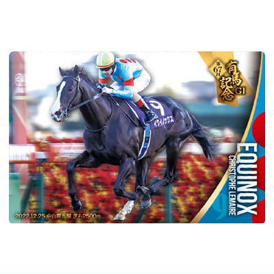 楽天市場】【送料無料】サラブレッドホースコレクション ツイン