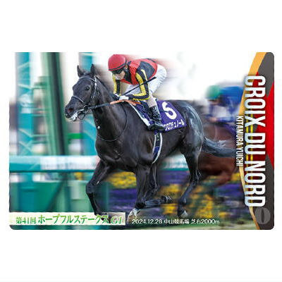 楽天市場】【送料無料】サラブレッドホースコレクション ツイン