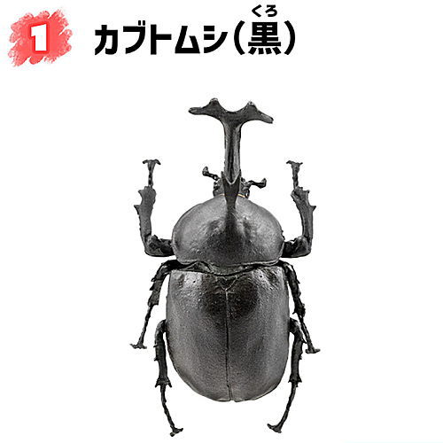 楽天市場】昆虫ハンター カブトムシ×クワガタ 2021 [1.カブトムシ(黒