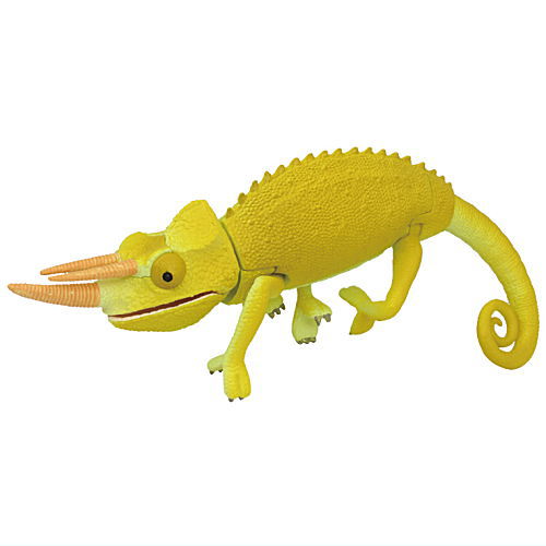 楽天市場】あそべる生物フィギュアシリーズ 奇妙ないきもの博物