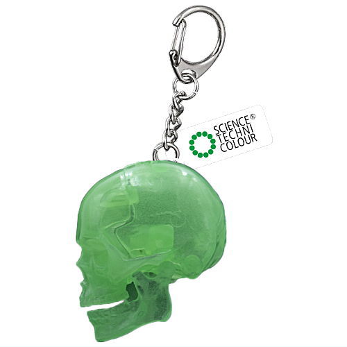 サイエンステクニカラー スケルトン　スケルトンカラー［全10種（フルコンプ)] STC スケルトンズ イン スケルトンカラー – ネイチャーテクニカラー公式