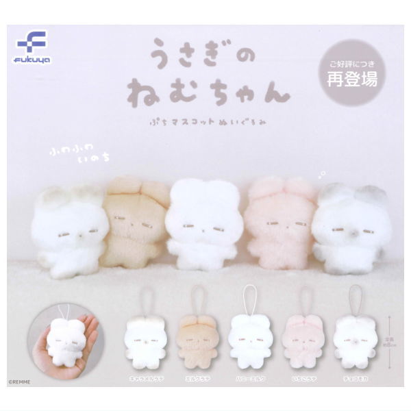 楽天市場】☆完売☆【全部揃ってます!!】顔がギュッとしたくまの