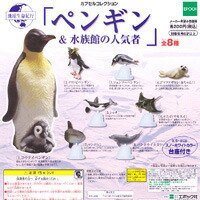 楽天市場】地球生命紀行 カプセルコレクション「ウミガメ
