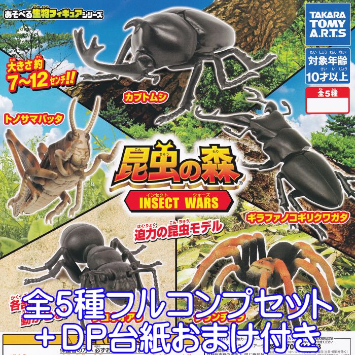 楽天市場】カブトムシ クワガタ 昆虫 セット 甲虫 大きい リアル