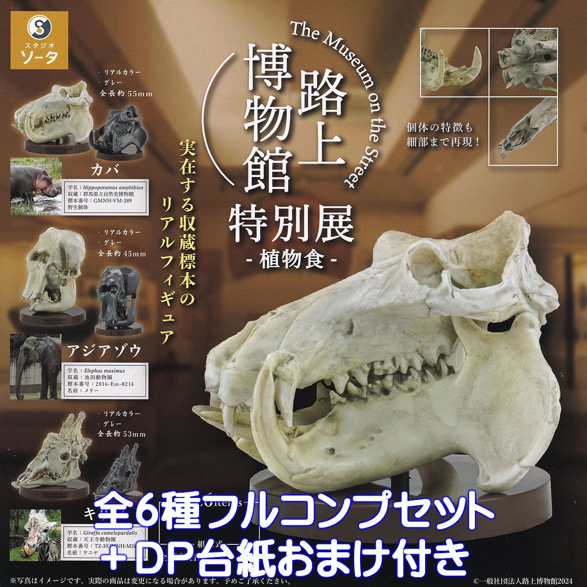 Gabulien ART COLLECTION 特典付　限定 予約受付終了】GABULIEN ART COLLECTION【1BOX／6個入】《予約