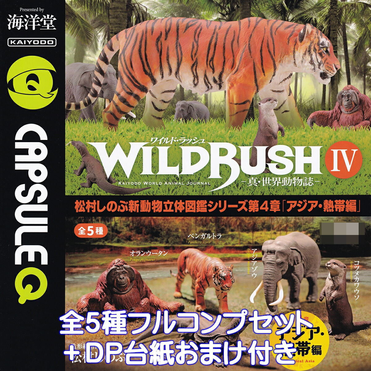 wildrush4top01.jpg