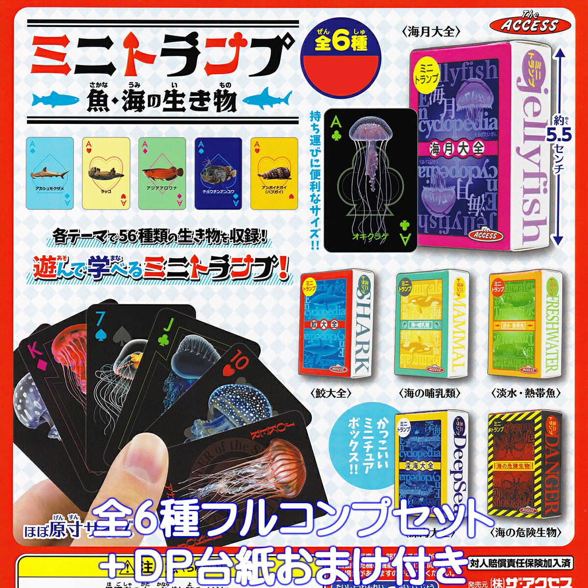 アニマルカードゲーム フルコンプセット Amazon.co.jp: アニマルカードゲーム フルコンセット カード