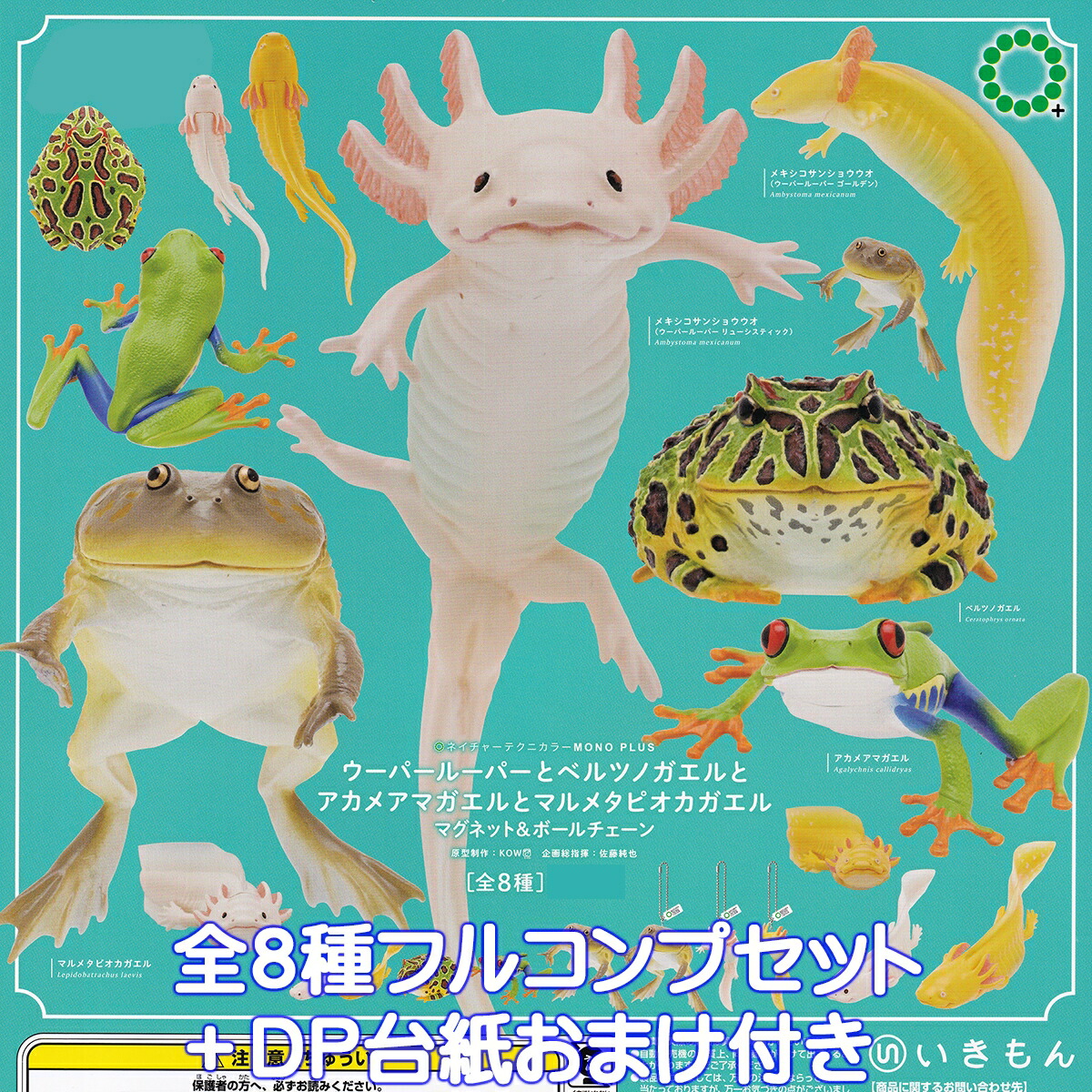 ネイチャーテクニカラー MONO PLUS ウーパールーパーとベルツノガエルとアカメアマガエルとマルメタピオカガエル マグネット＆ボールチェーン 2025 いきもん 【全８種フルコンプセット＋ＤＰ台紙おまけ付き】 NTC MONO＋ ベルツノガエル グッズ フィギュア ガチャガチャ