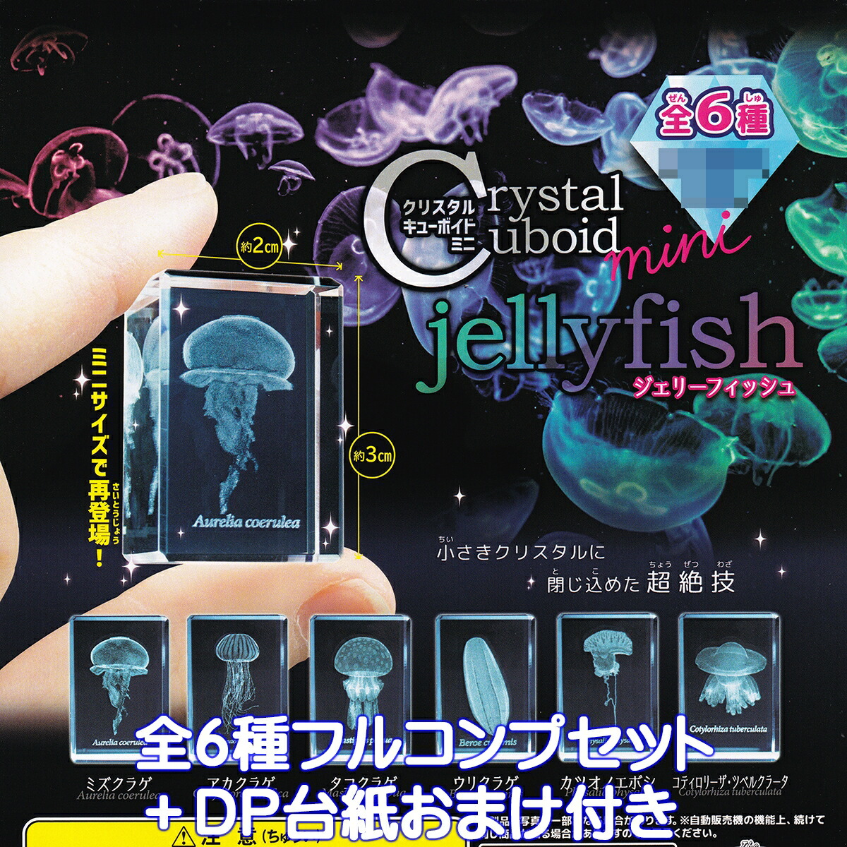 JELLYFISH,新品未開封,ジェリーフィッシュ,限定2000枚,パワーポップ 楽天市場】クリスタルキューボイドミニ ジェリーフィッシュ ザ