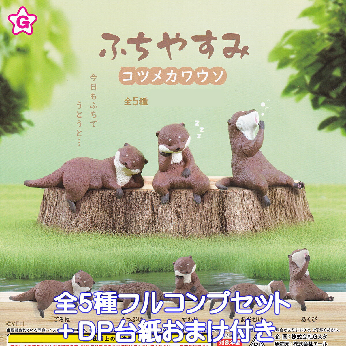 楽天市場】鳥羽水族館 PukaPuka ラッコのメイとキラ ベネリック 【全6