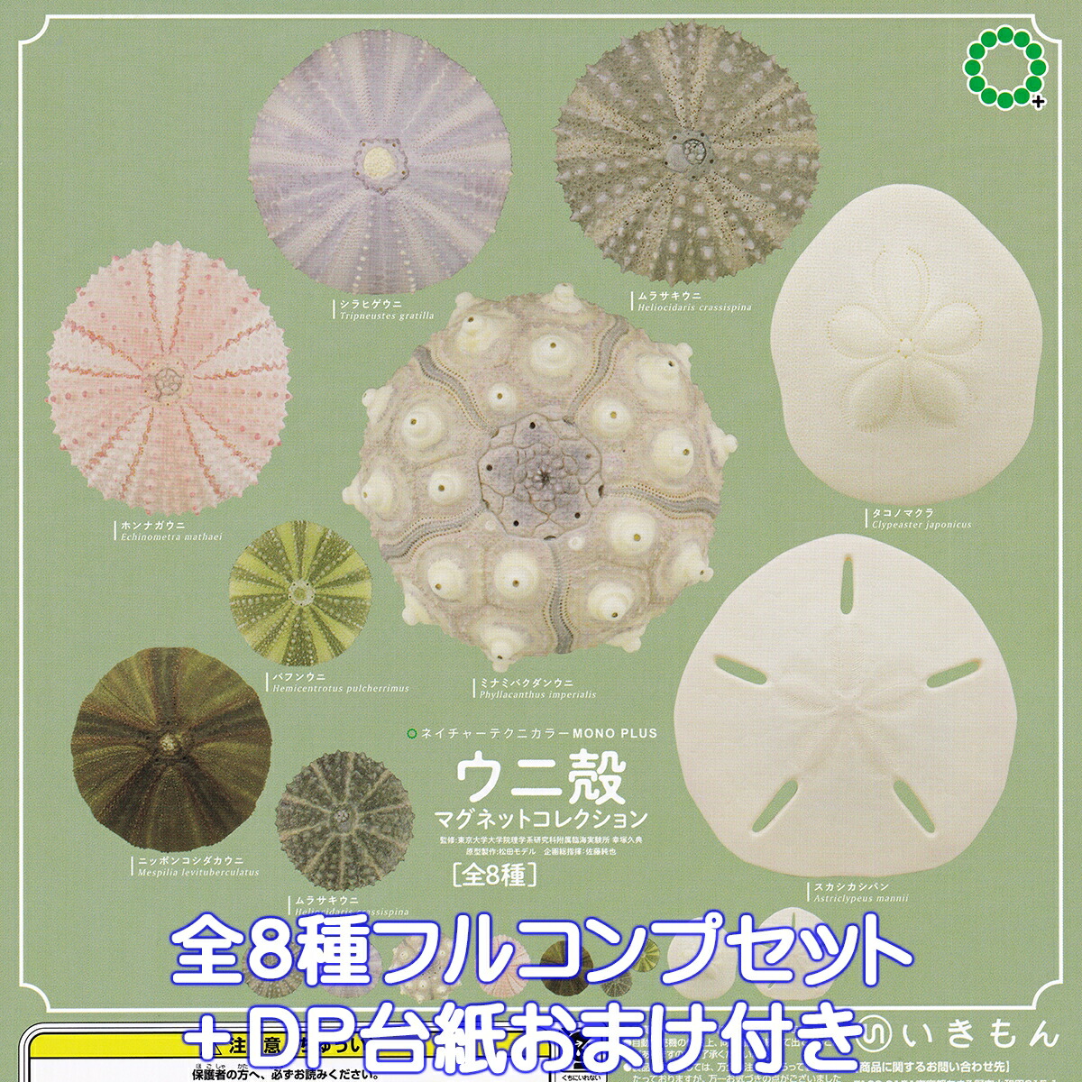 楽天市場】ネイチャーテクニカラー 日本の清流 増補特装版 いきもん