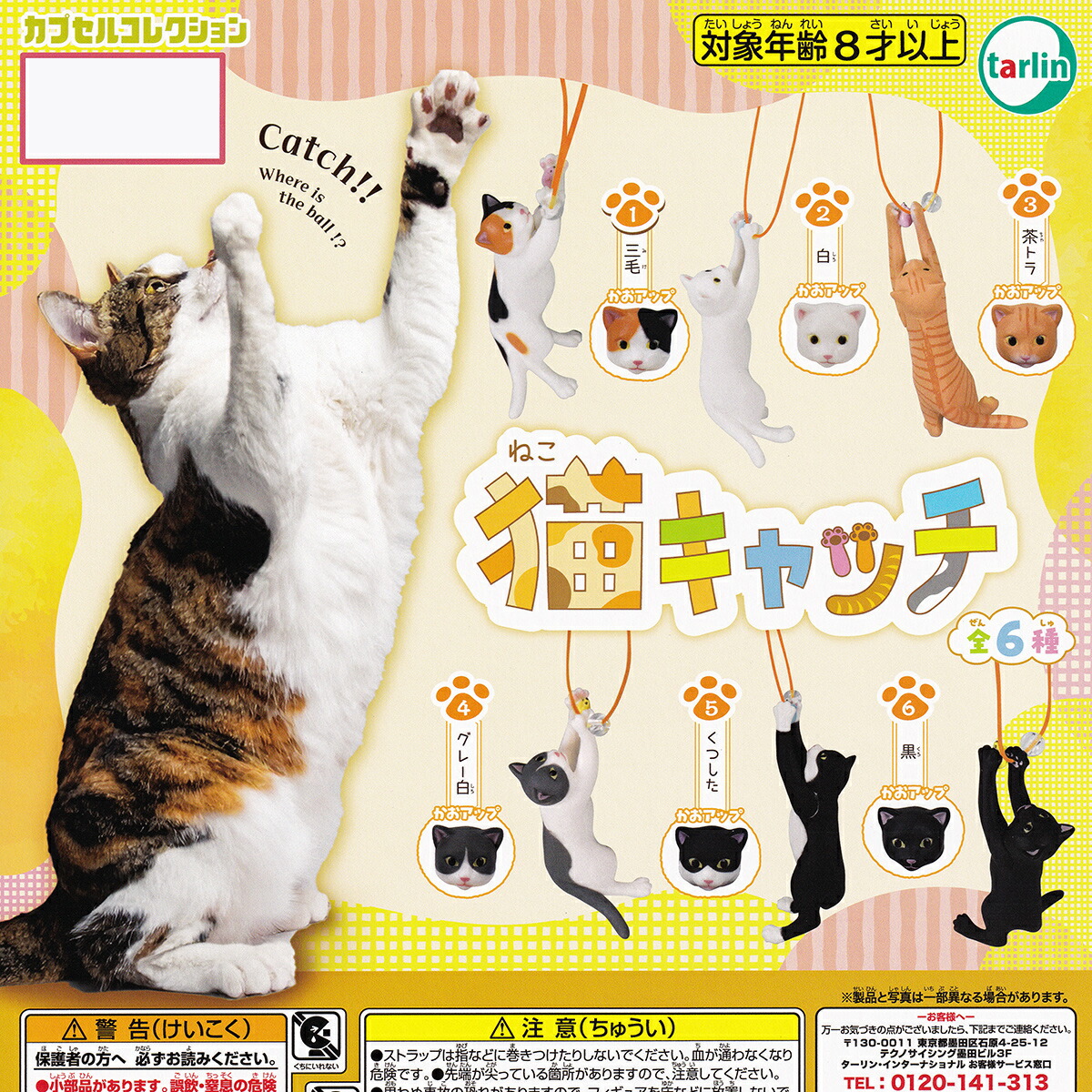 楽天市場】猫との暮らしマスコット J.ドリーム 【全5種フルコンプ