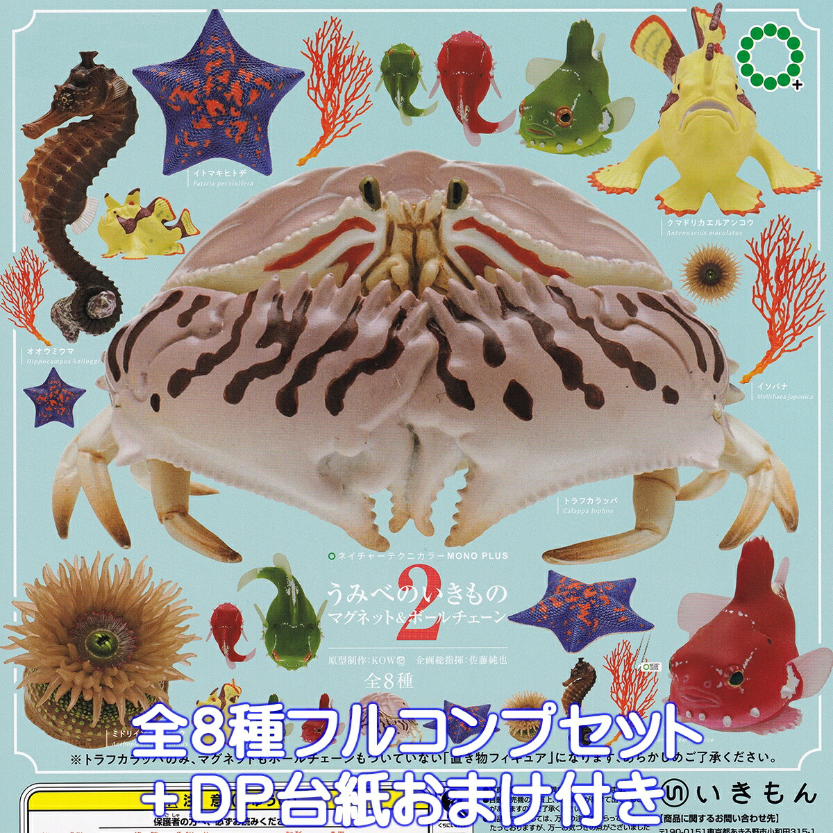 楽天市場】ネイチャーテクニカラー 日本の清流 増補特装版 いきもん