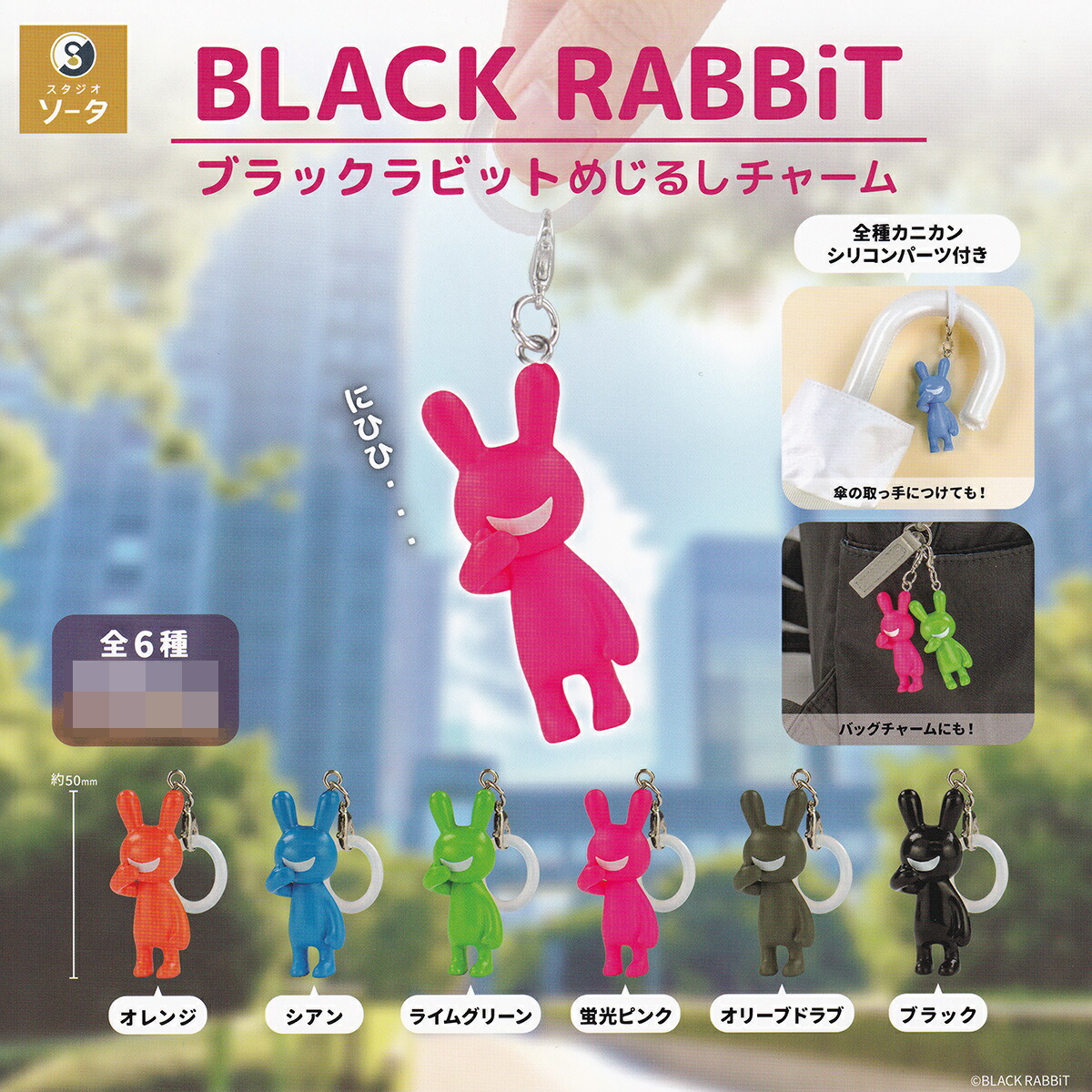 楽天市場】ブラックラビット6 SO-TA 【人気の2種セット】 BLACK